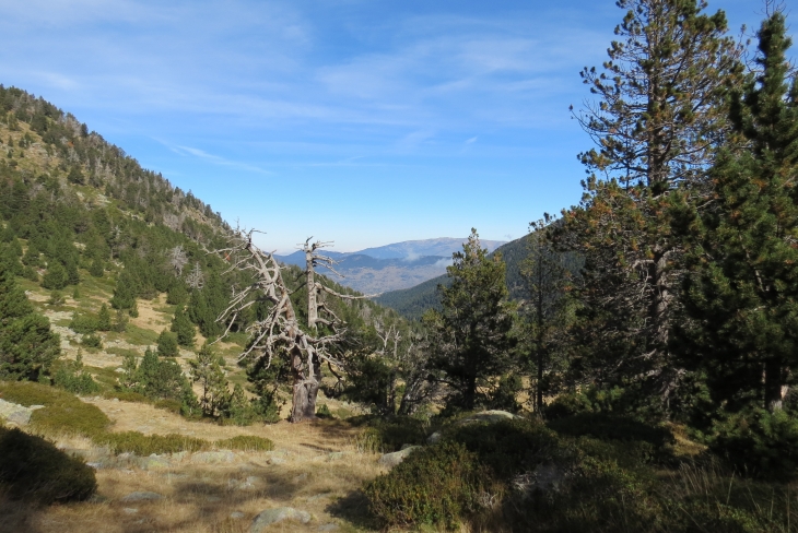 Vallée de planes - Planès