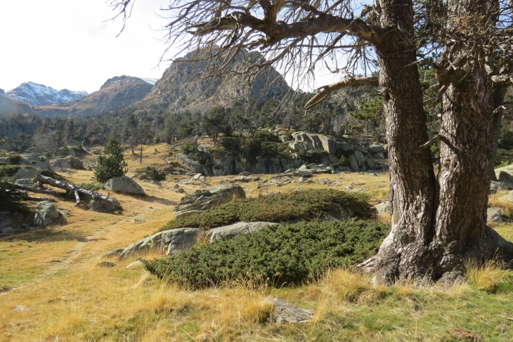 Vallée de planes - Planès