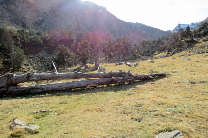 Vallée de planes - Planès