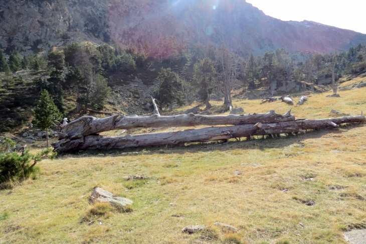 Vallée de planes - Planès