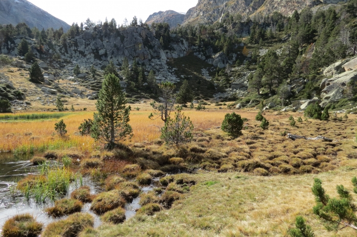 Le lac au fond de la vallée de planes - Planès