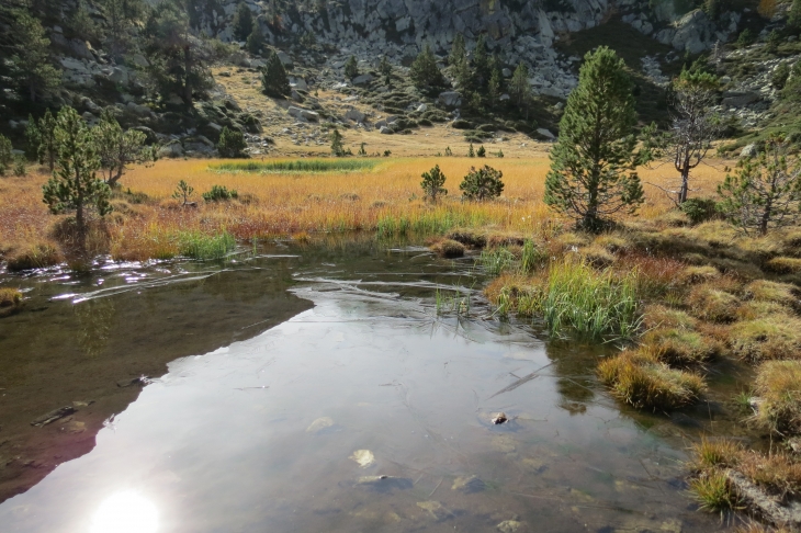 Le lac au fond de la vallée de planes - Planès