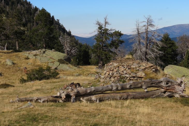 Vallée de planes - Planès