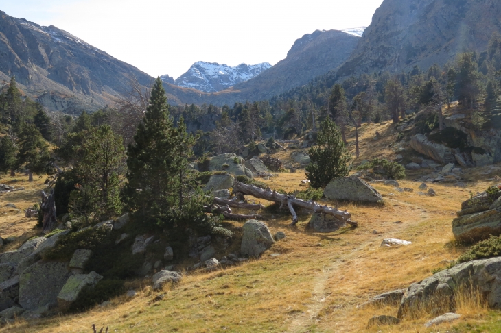 Vallée de planes - Planès