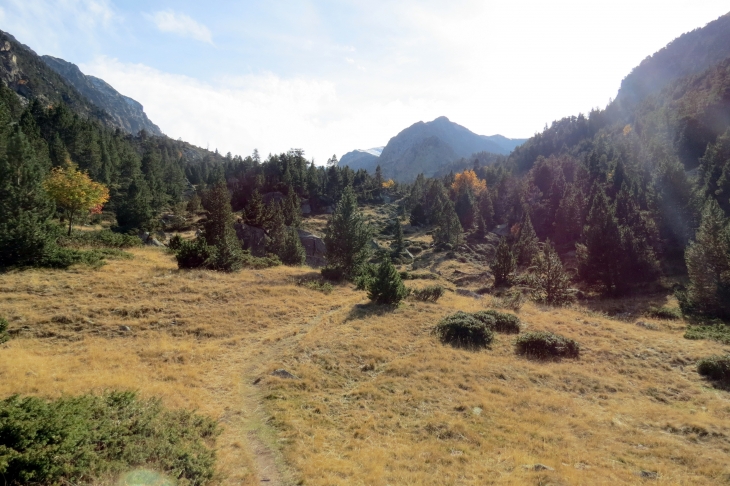 Vallée de planes - Planès