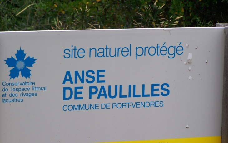 L'Anse-de-Paulilles site protégé et réglementé  - Port-Vendres