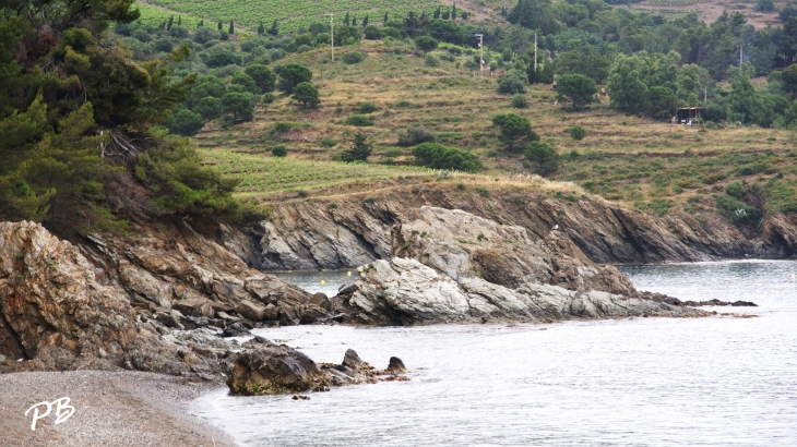  - Port-Vendres