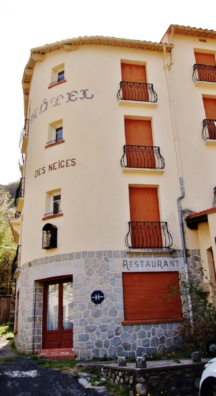 Le Hameau ( Hotel des Neiges - Prats-de-Mollo-la-Preste