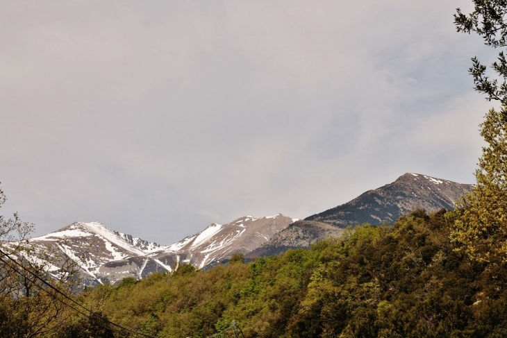 Panorama - Prats-de-Mollo-la-Preste