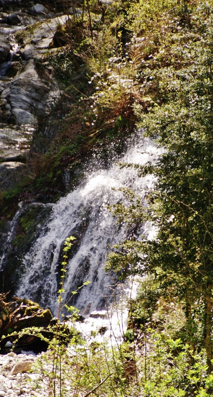 La Preste ( Torrent) - Prats-de-Mollo-la-Preste