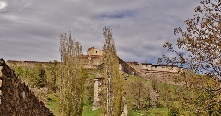 Fort Lagarde - Prats-de-Mollo-la-Preste