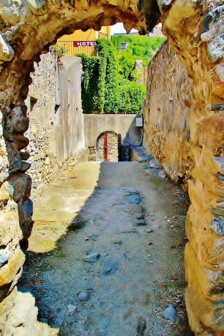 CHEMIN DE LA GARDE - Prats-de-Mollo-la-Preste