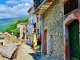 Photo précédente de Prats-de-Mollo-la-Preste RUE DU VILLAGE