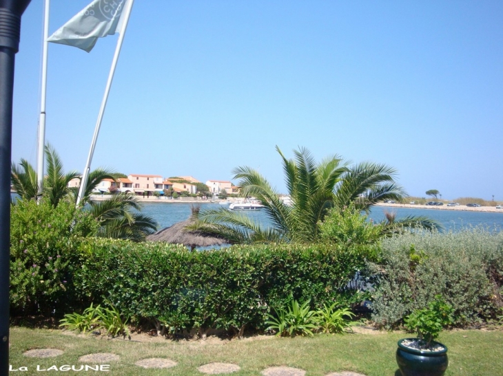 Les Capelans du restau la lagune - Saint-Cyprien