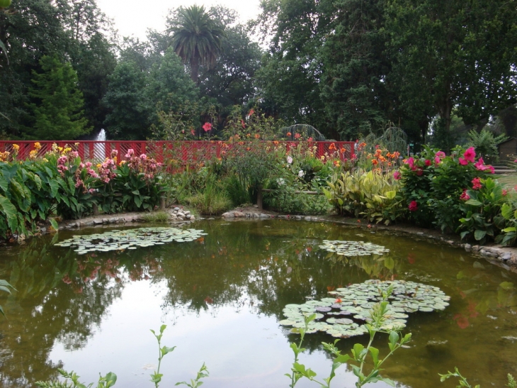 Parc des capellans - Saint-Cyprien