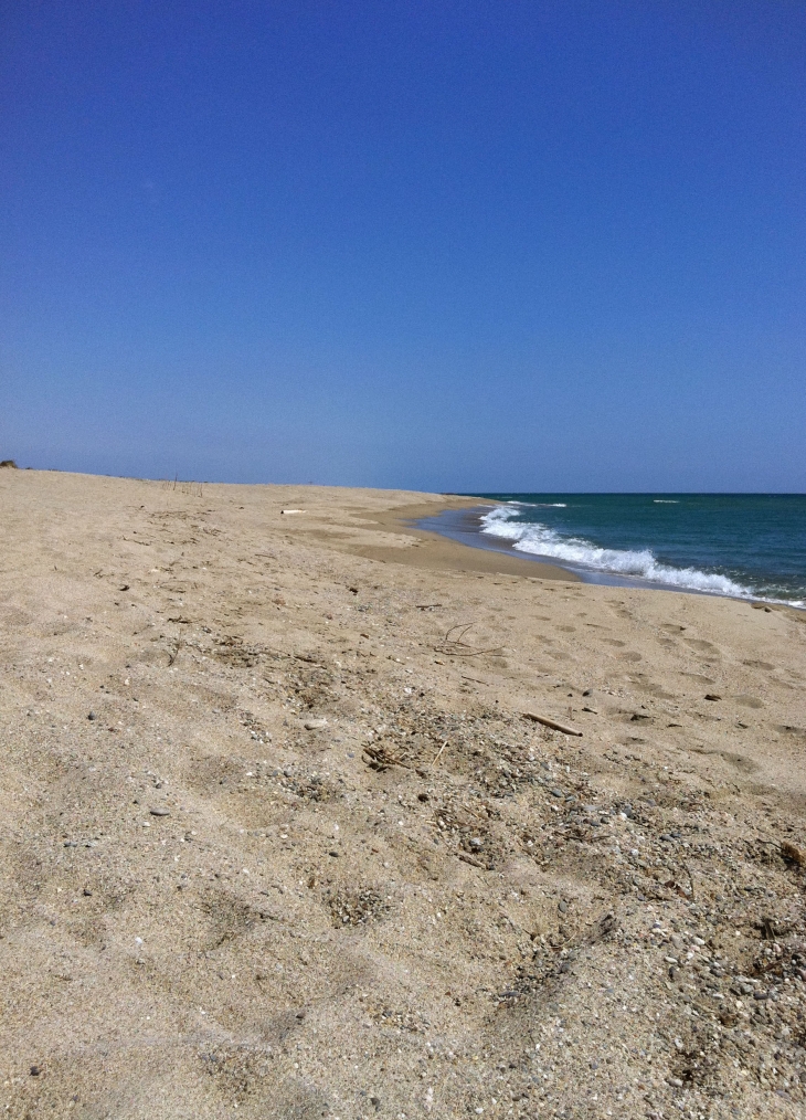 Plage des Pyrénées Orientales entre Saint Cyprien et Canet en Roussillon - Saint-Cyprien