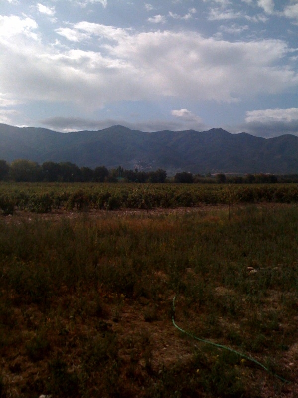 Vue sur les Albères - Saint-Génis-des-Fontaines