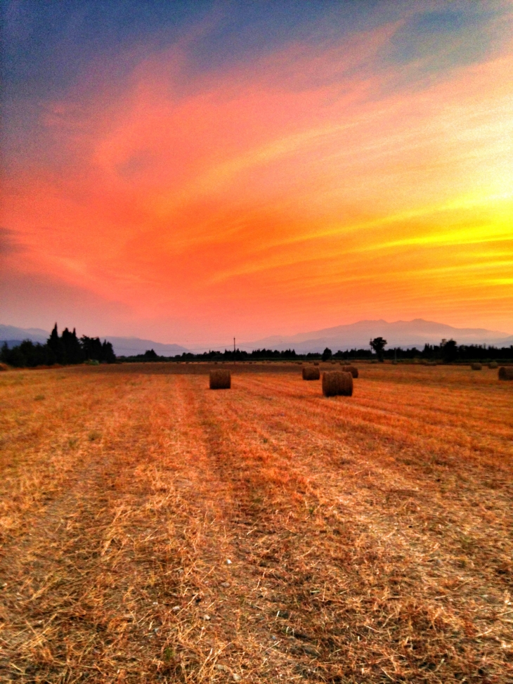 Coucher de soleil sur champs de blé - Saint-Génis-des-Fontaines
