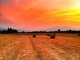 Photo suivante de Saint-Génis-des-Fontaines Coucher de soleil sur champs de blé