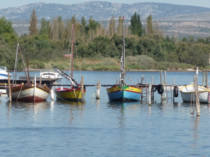 Barques catalanes - Saint-Hippolyte