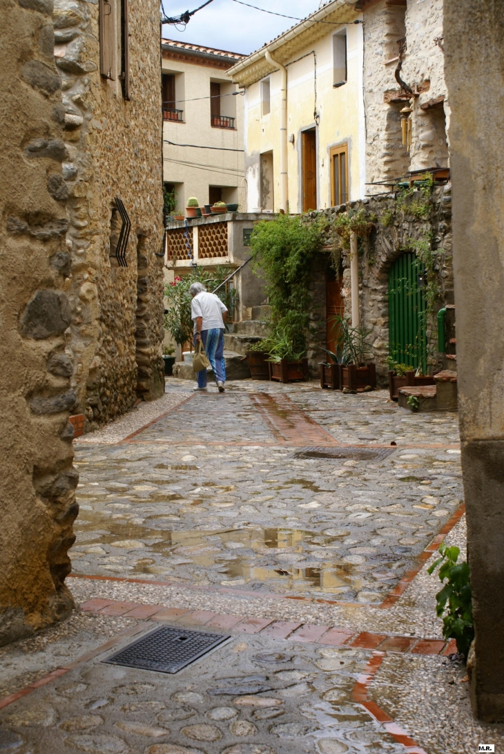 ST.  JEAN  RUE  DES  PORCHES  ph.  M.  R. - Saint-Jean-Pla-de-Corts