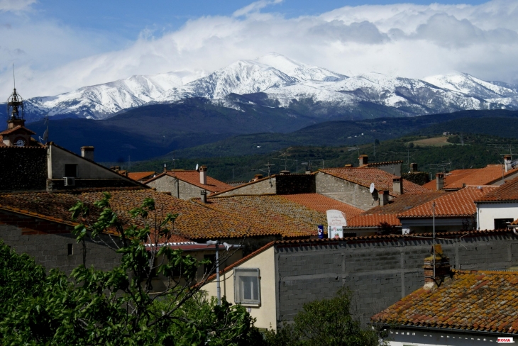 ST.  JEAN  :VUE  SUR  CANIGOU  photo  M.  R.  - Saint-Jean-Pla-de-Corts