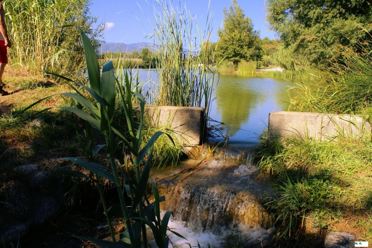 ST; JEAN  - PLA  D'EAU   - photo  M.  R. - Saint-Jean-Pla-de-Corts