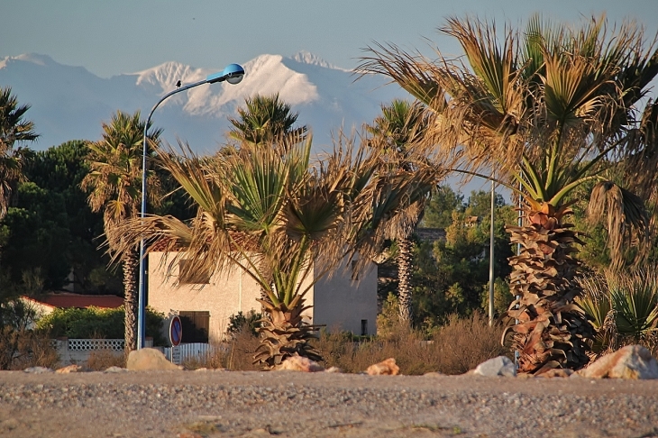 CANIGOU VU DE LA PLAGE - Sainte-Marie