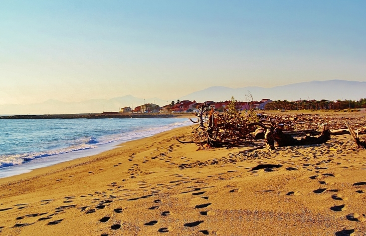 LA PLAGE - Sainte-Marie