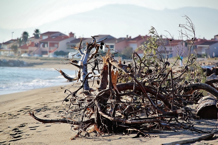 PLAGE  - Sainte-Marie