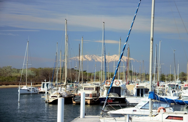 Le port avec le canigou en fond  - Sainte-Marie