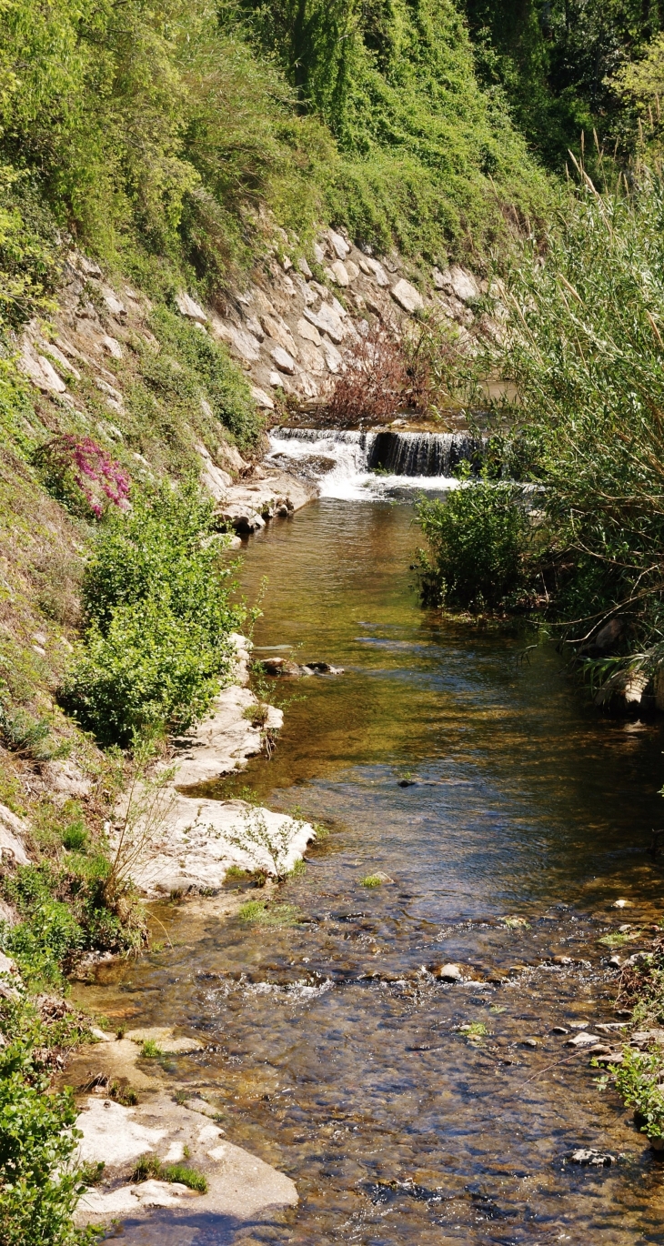 Le Tassio - Sorède