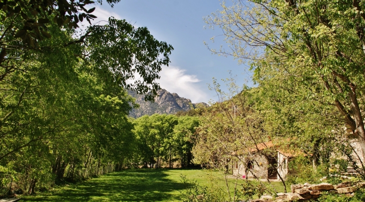 Lavall commune de Sorede  - Sorède