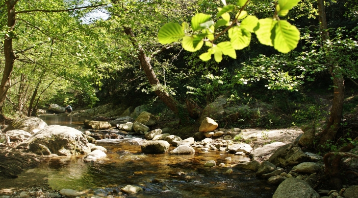 Lavall commune de Sorede (Gorges de la Massane) - Sorède