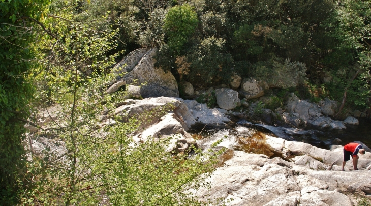 Lavall commune de Sorede (Gorges de la Massane) - Sorède