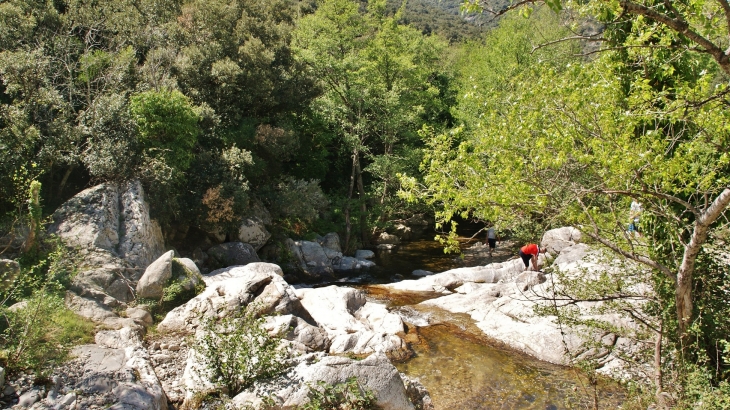 Lavall commune de Sorede (Gorges de la Massane) - Sorède