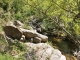 Lavall commune de Sorede (Gorges de la Massane)