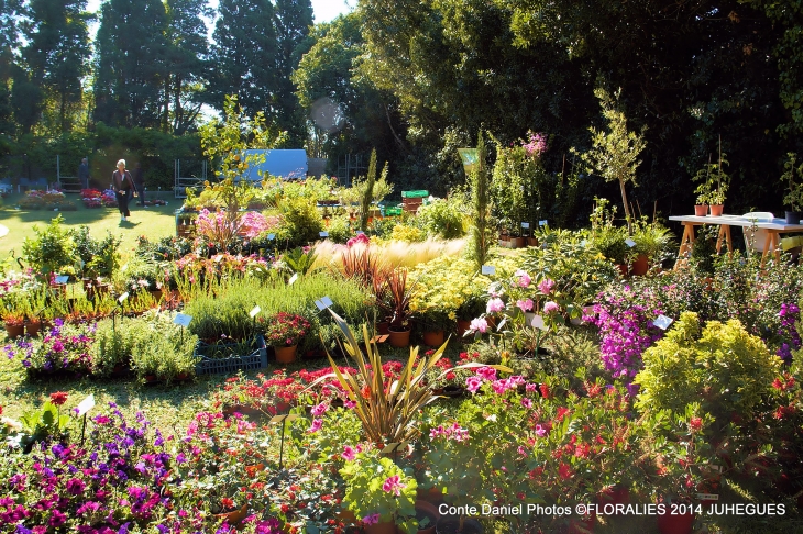 Floralies 2014 a Juhegues - Torreilles