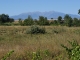 Photo suivante de Toulouges Mont Canigou vue d'un jardin