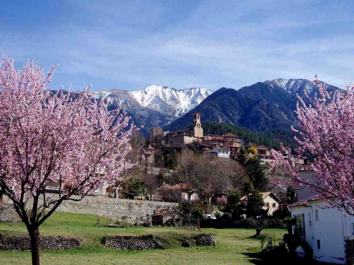 Le village au printemps - Vernet-les-Bains