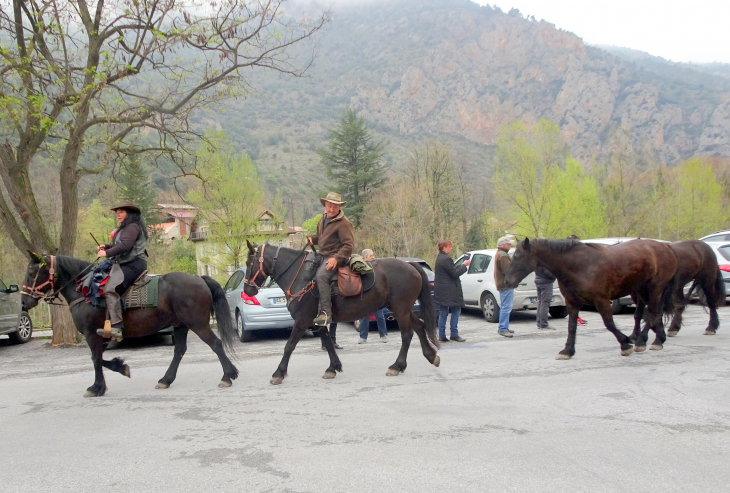 Arrivé des chevaux de race merens a villefranche lors de leur transhumance d'argeles au puymorens - Villefranche-de-Conflent