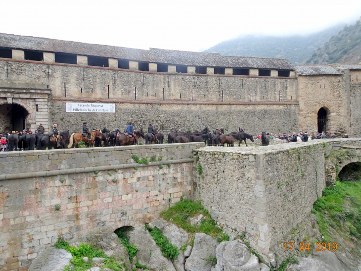 Arrivé des chevaux de race merens a villefranche lors de leur transhumance d'argeles au puymorens - Villefranche-de-Conflent