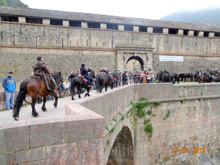 Arrivé des chevaux de race merens a villefranche lors de leur transhumance d'argeles au puymorens - Villefranche-de-Conflent