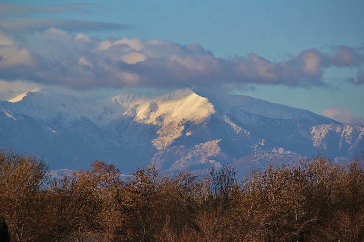 CANIGOU - Villelongue-de-la-Salanque