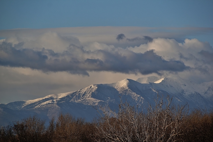 CANIGOU  - Villelongue-de-la-Salanque