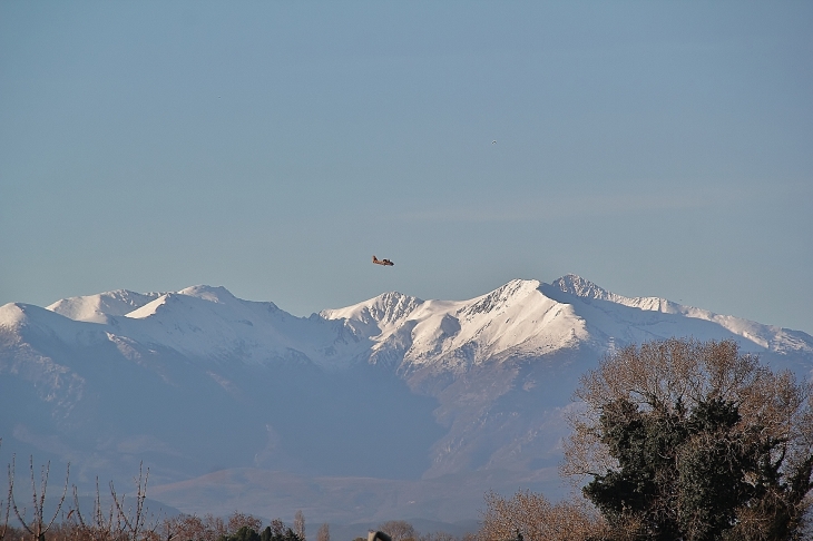 CANIGOU A NOEL  - Villelongue-de-la-Salanque