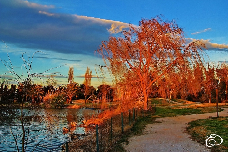 LAC  - Villelongue-de-la-Salanque