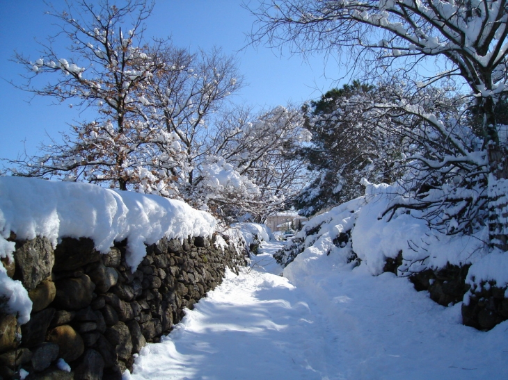 Petit chemin un jour de fin d'hiver - Villelongue-dels-Monts