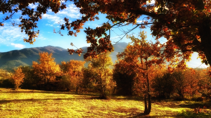 Paysage de Villelongue dels monts en automne avec vue sur les Albères - Villelongue-dels-Monts