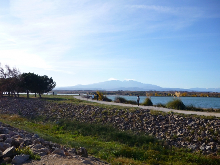 Le lac - Villeneuve-de-la-Raho